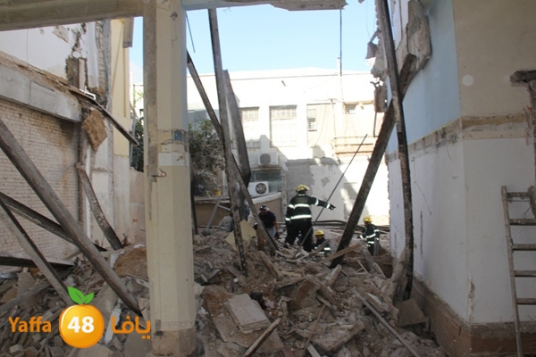 mabna inu910y (4).JPG